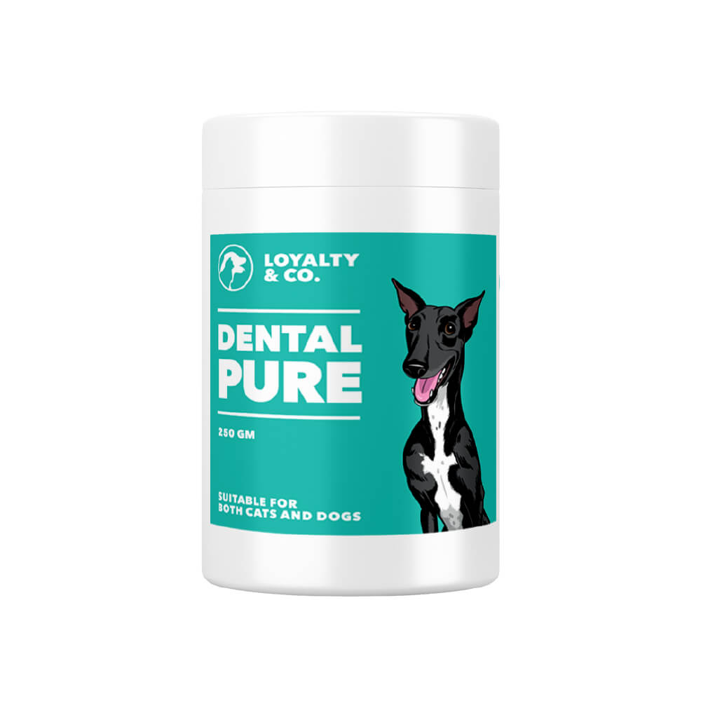 Loyalty & Co. Dental Pure | 100% Seaweed