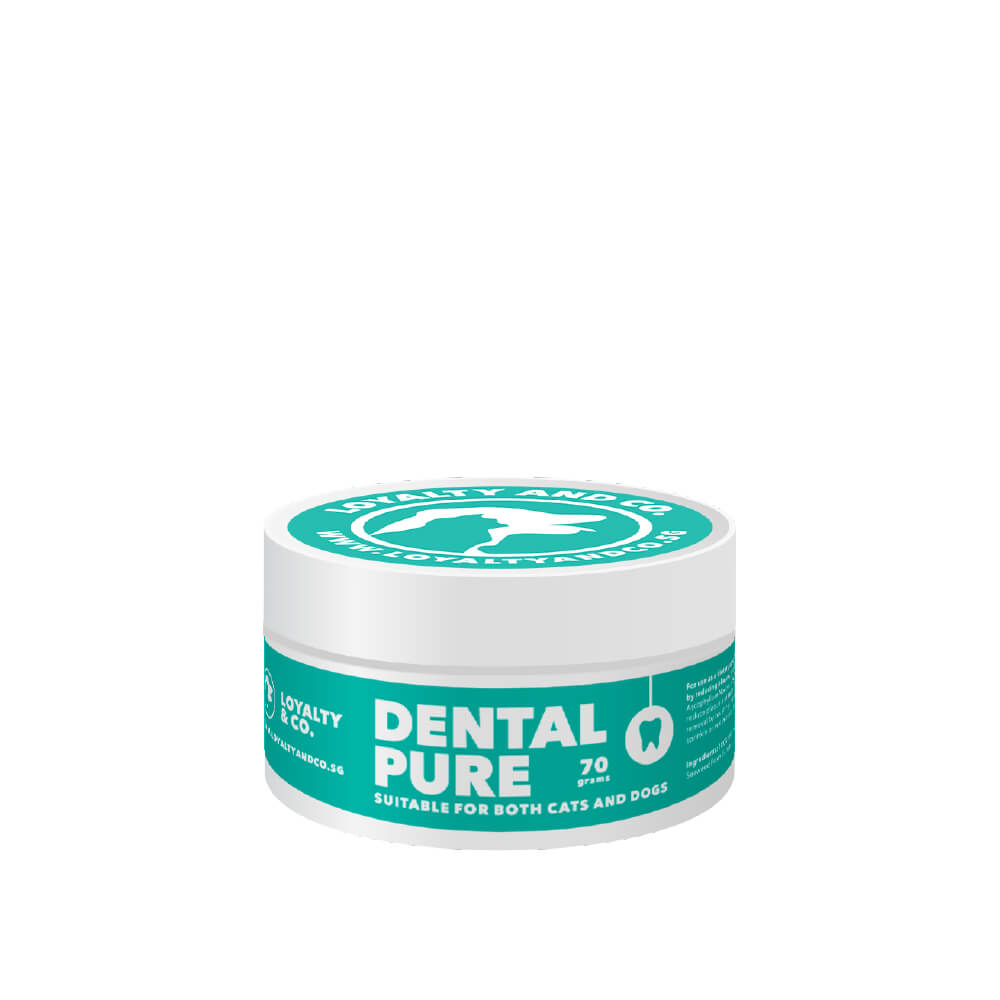 Loyalty & Co. Dental Pure | 100% Seaweed
