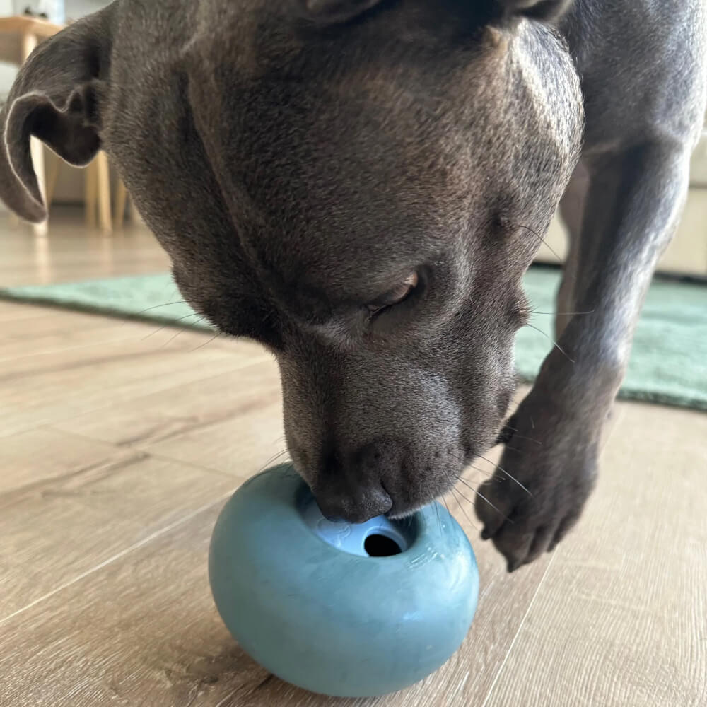 Lunoji Pebble Enrichment Toy