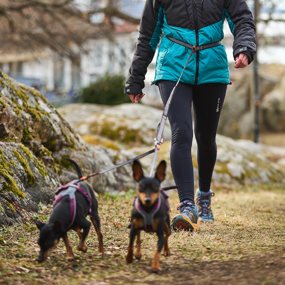 Non-stop dogwear Touring Bungee Adjustable Leash