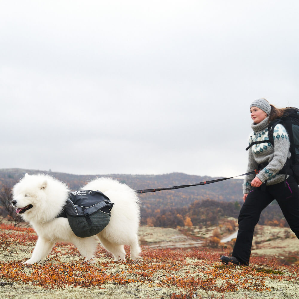 Non-stop dogwear Touring Bungee Adjustable Leash