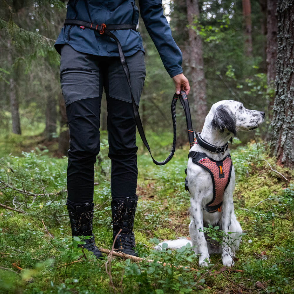 Non-stop dogwear Touring Bungee Adjustable Leash