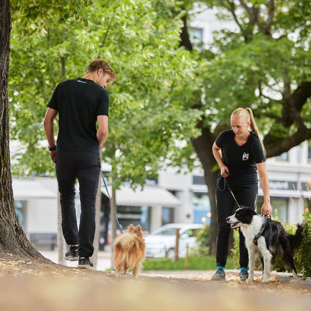 Non-stop dogwear Line Harness Grip