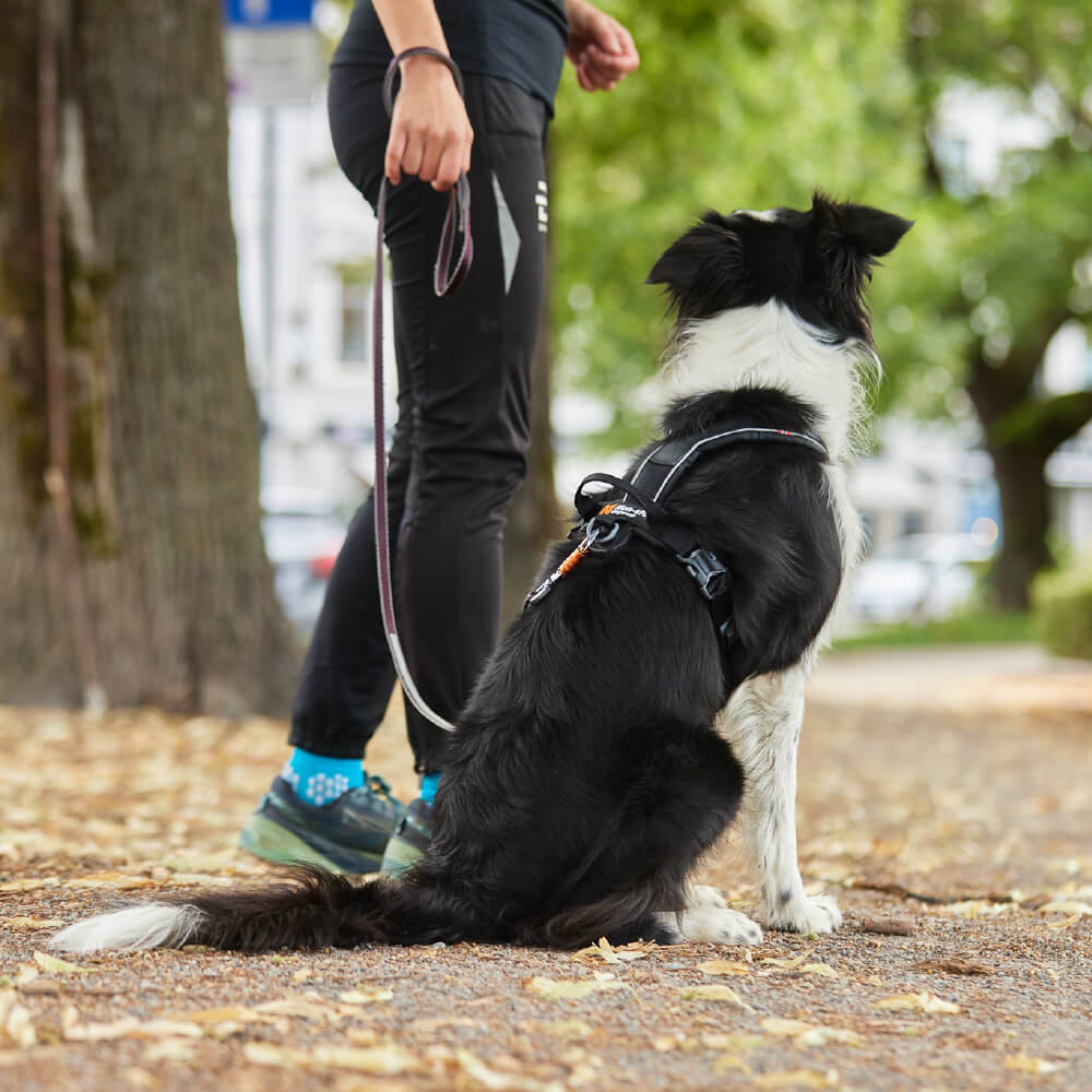 Non-stop dogwear Line Harness Grip