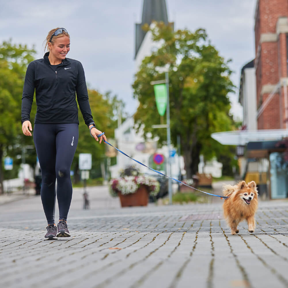 Non-stop dogwear Move Leash