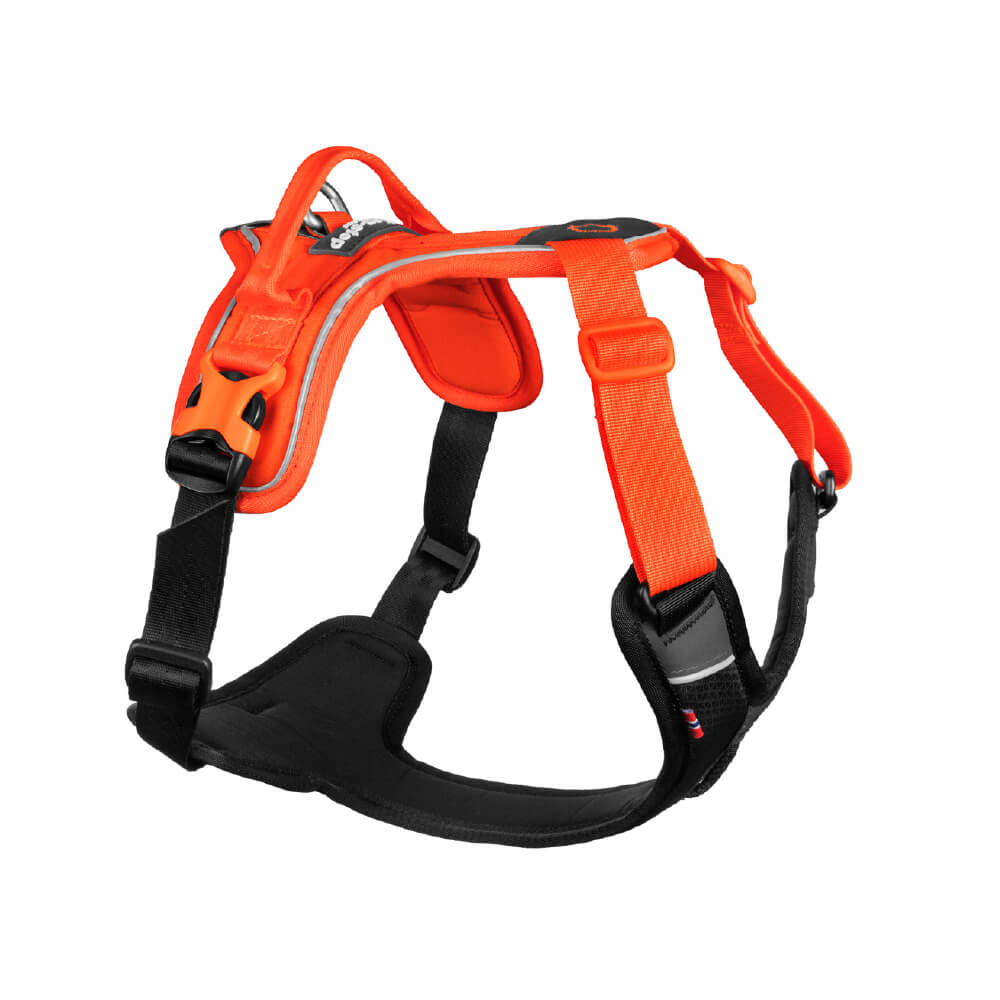 Non-stop dogwear Ramble Harness