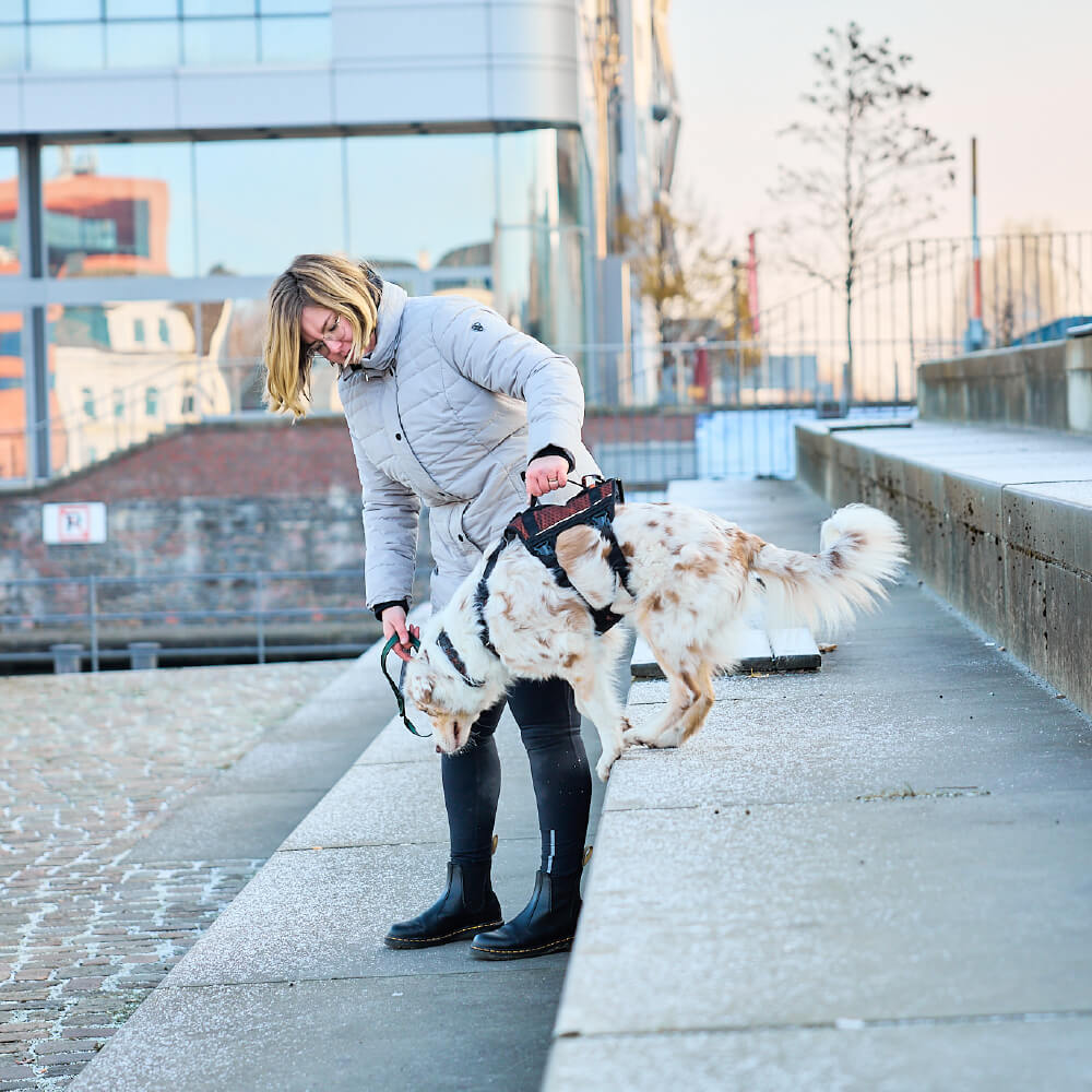 Non-stop dogwear Rock Harness Long