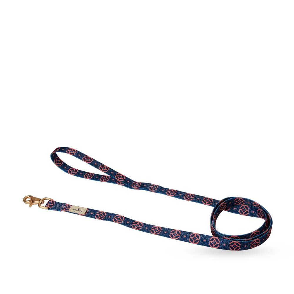 Ohpopdog Nylon Leash | Baba Navy