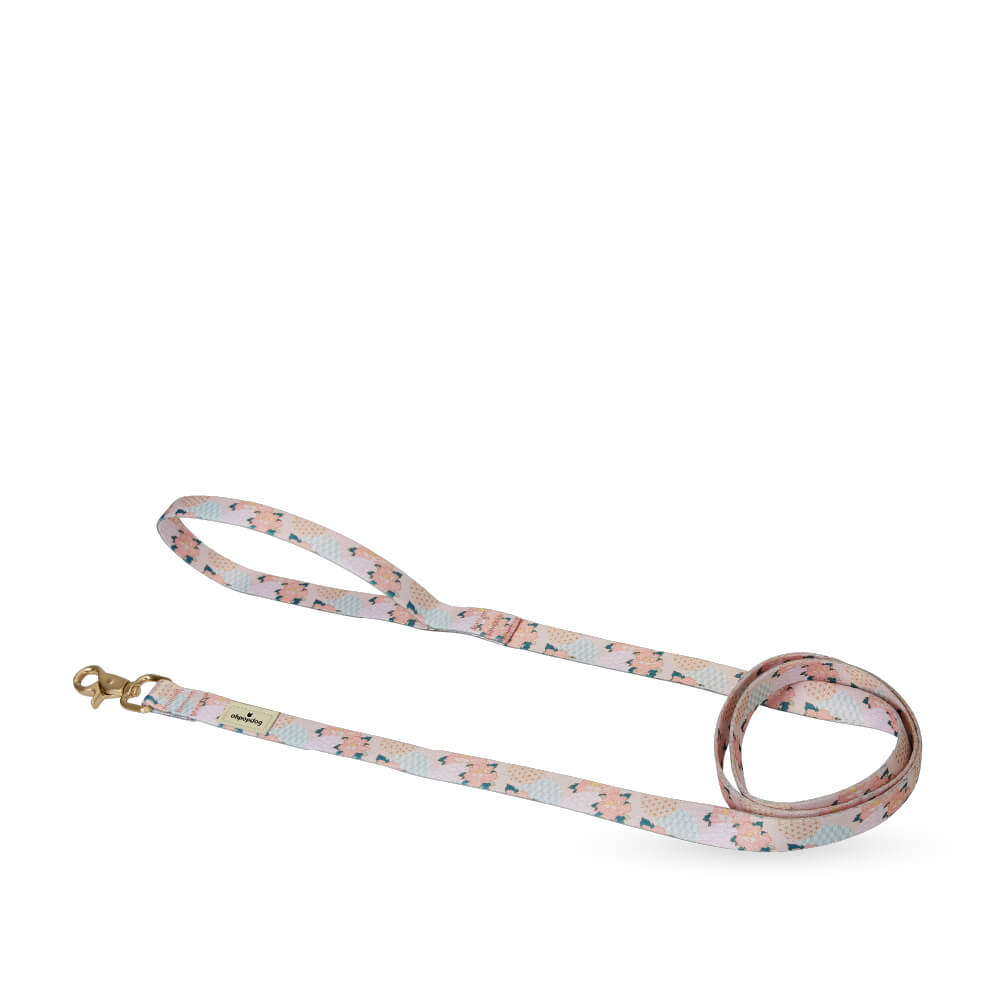 Ohpopdog Nylon Leash | Botan