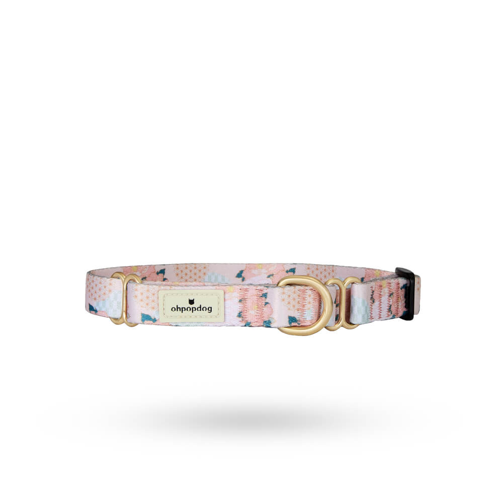 Ohpopdog Nylon Martingale Collar | Botan