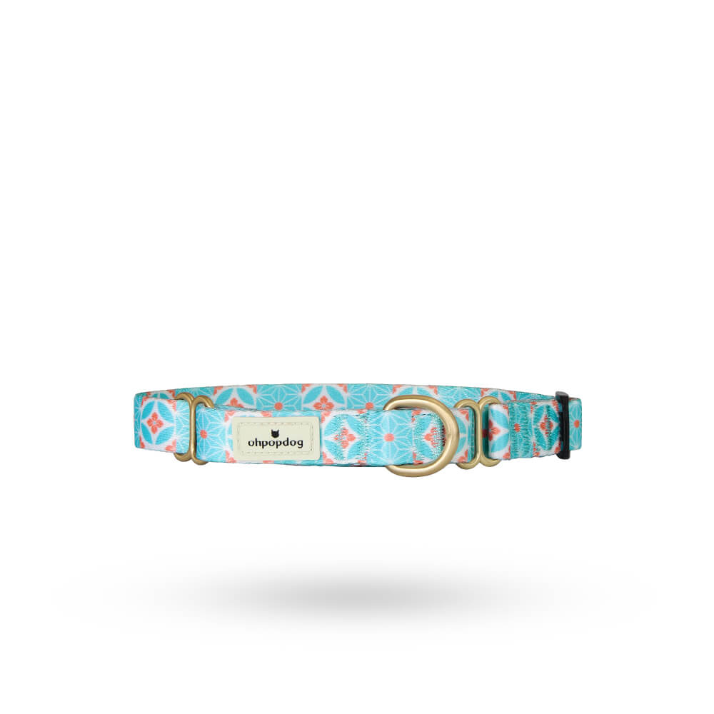 Ohpopdog Nylon Martingale Collar | Straits Mint