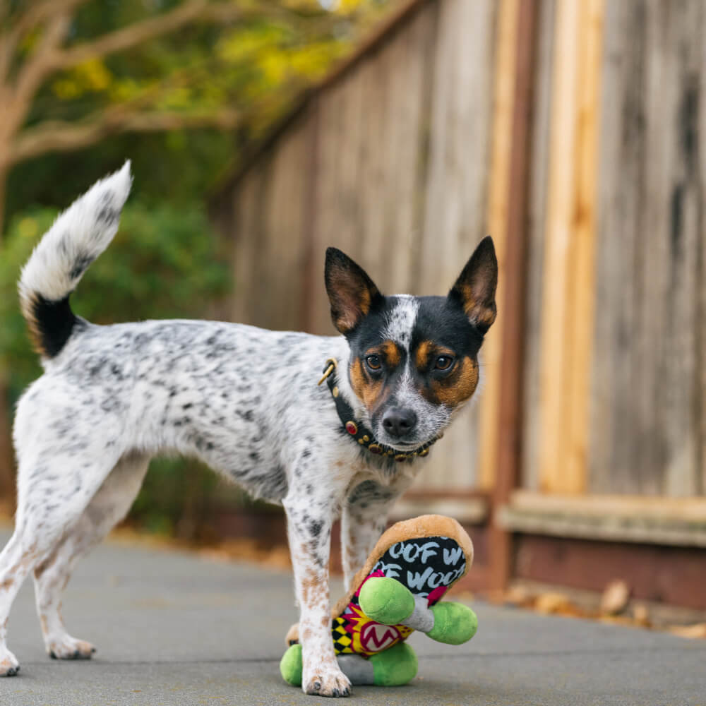 PLAY 90s Classic Skateboard Toy