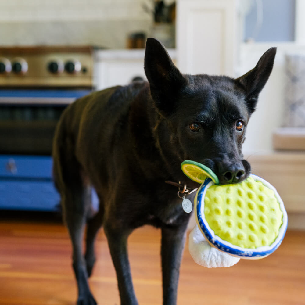 PLAY Barktender Margarita Plush Toy