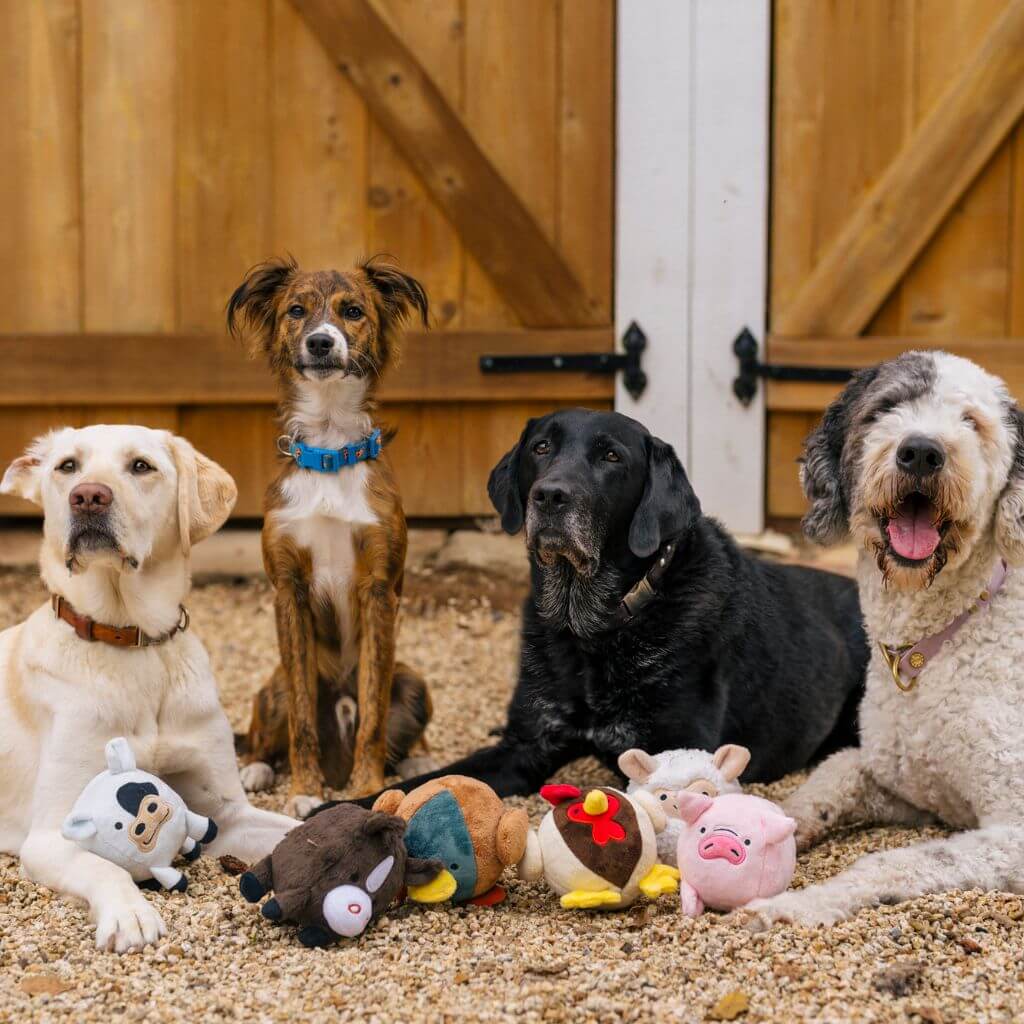 4 dogs pose with the PLAY Barnyard Buddies dog toys collection in a barn.