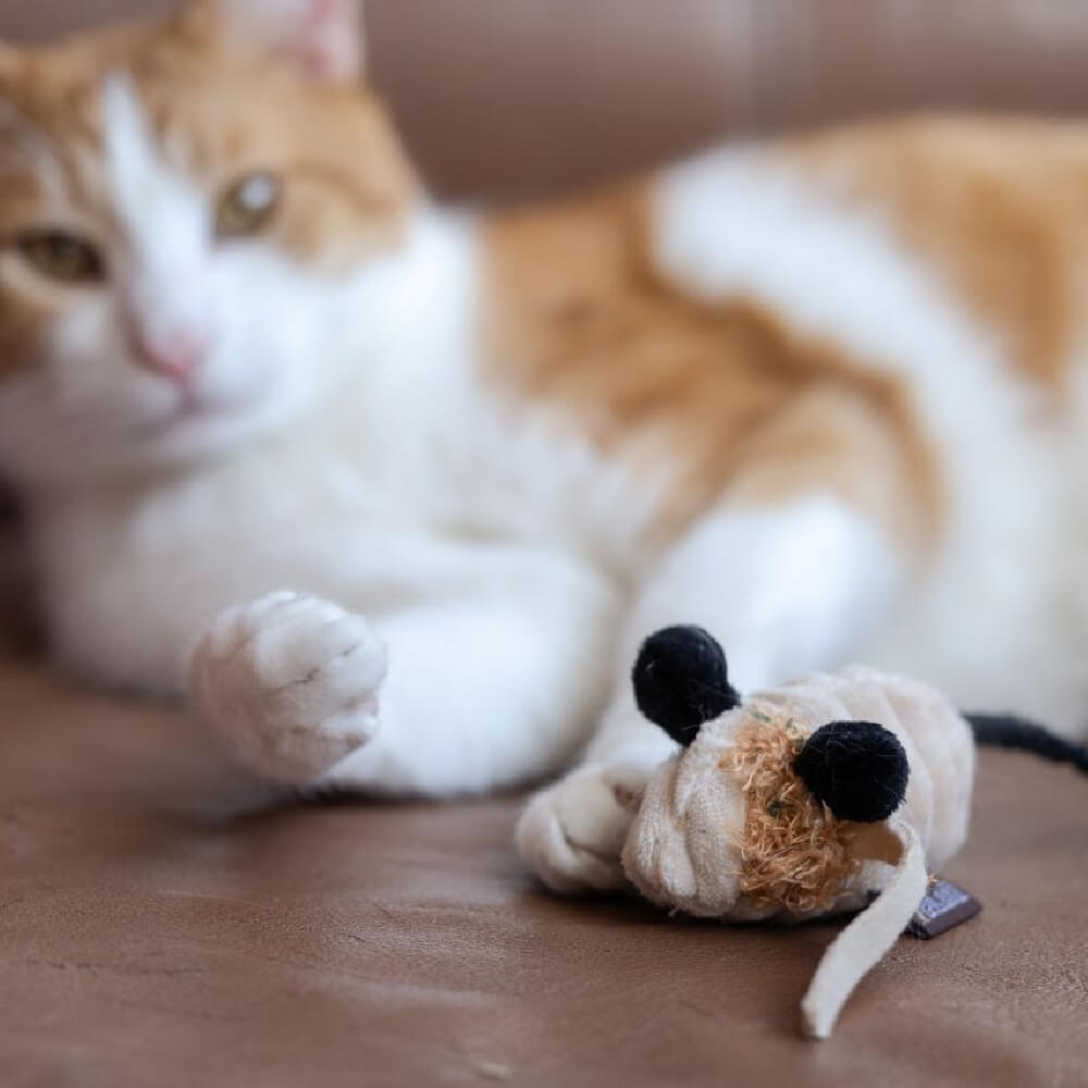PLAY Feline Frenzy | Menacing Mice