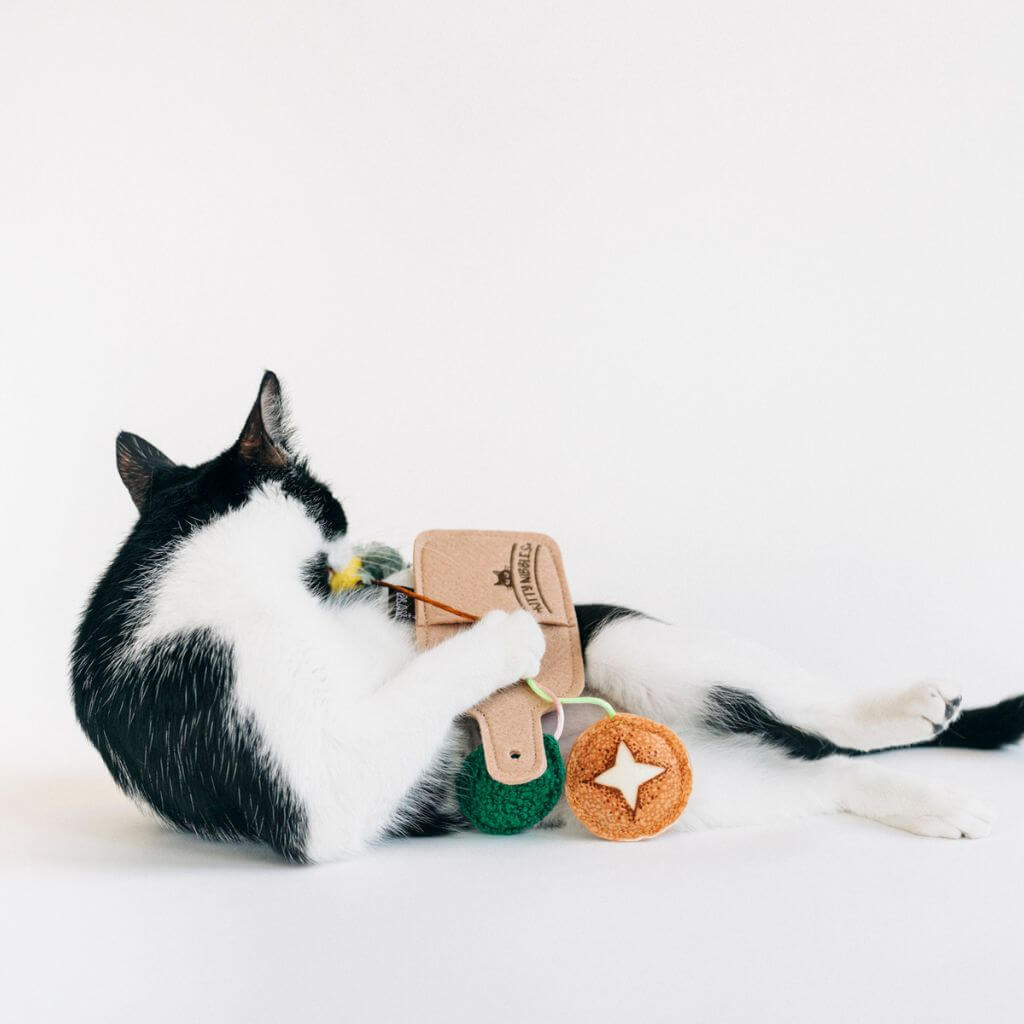 A cat playing with the PLAY Feline Frenzy Purrfect Pairings against a white background.