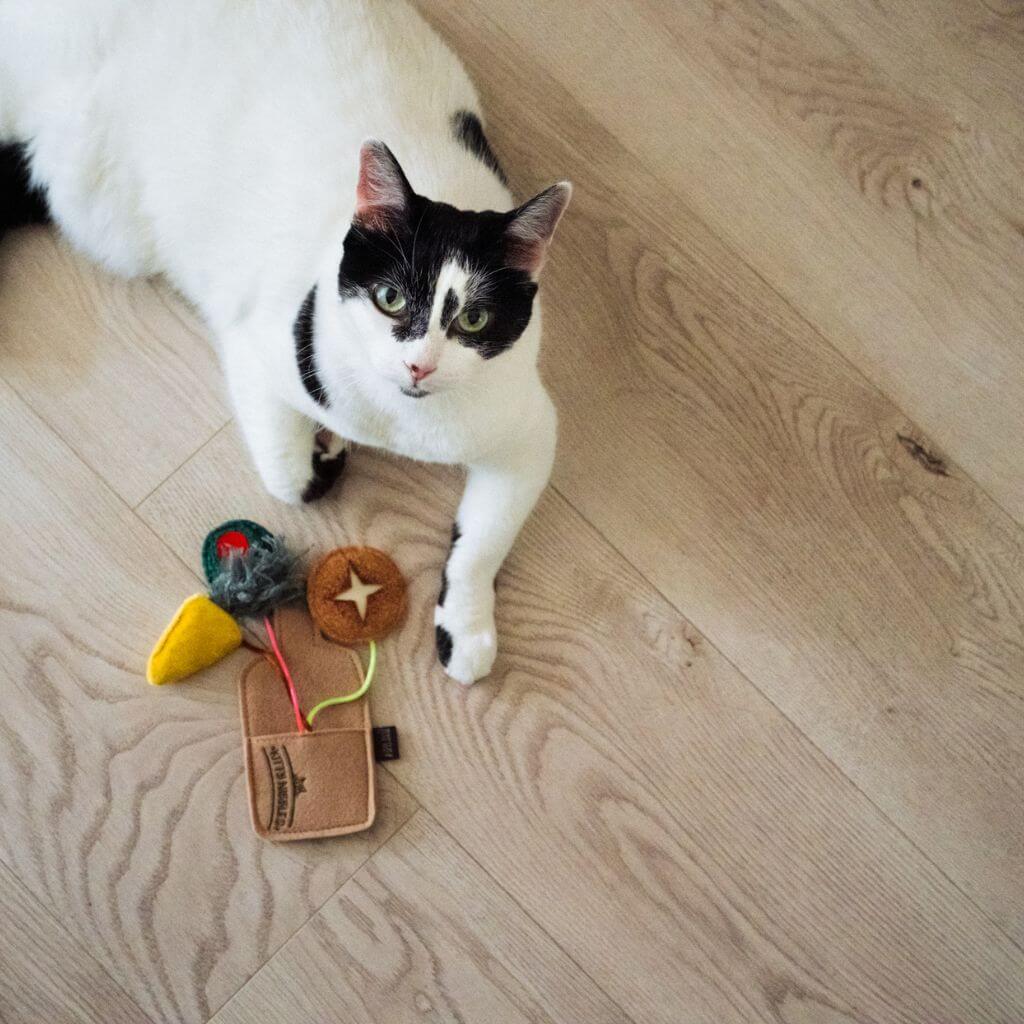 A black and white cat poses with the PLAY Feline Frenzy Purrfect Pairings on hardwood floor.