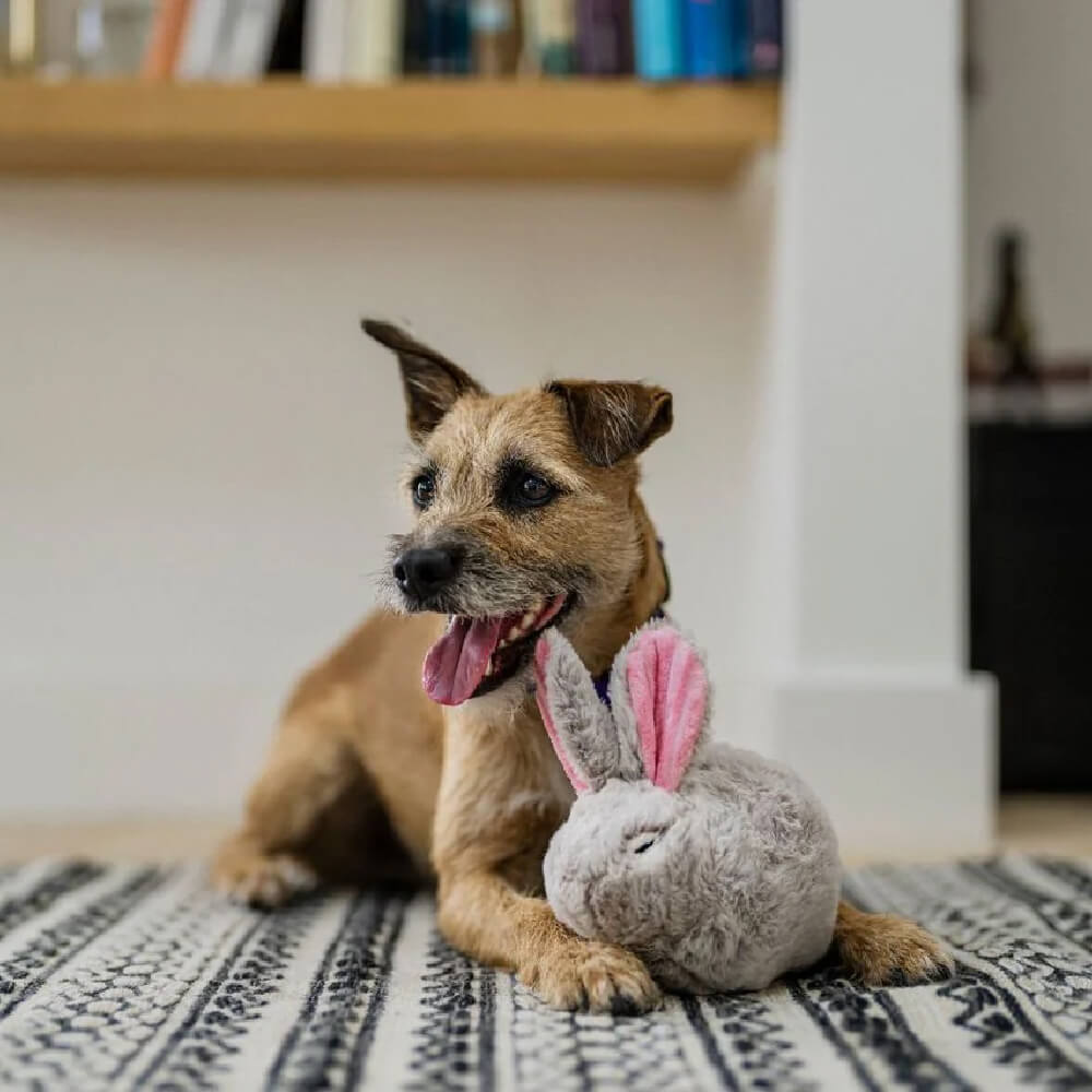 PLAY Forest Friends, Baxter the Bunny