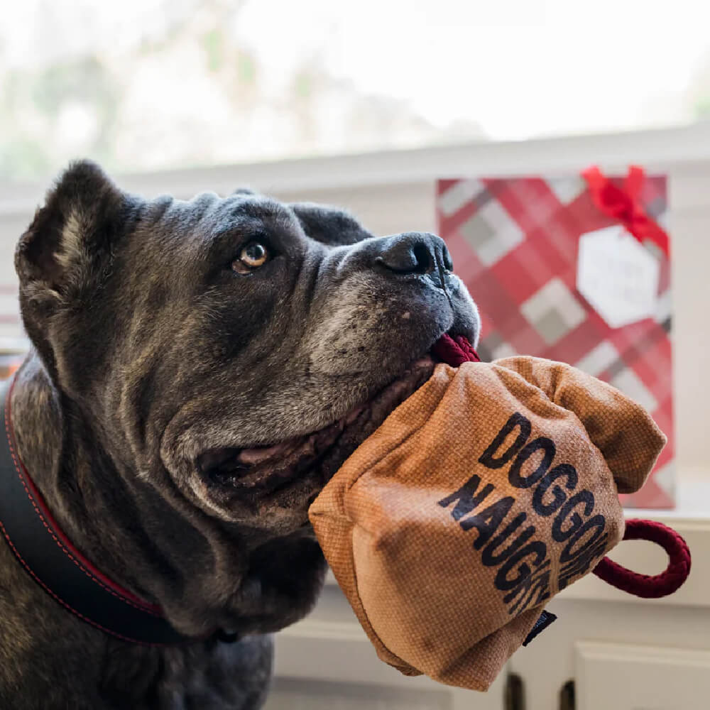PLAY Home for the Holidays Bag of Coal Snuffle Toy