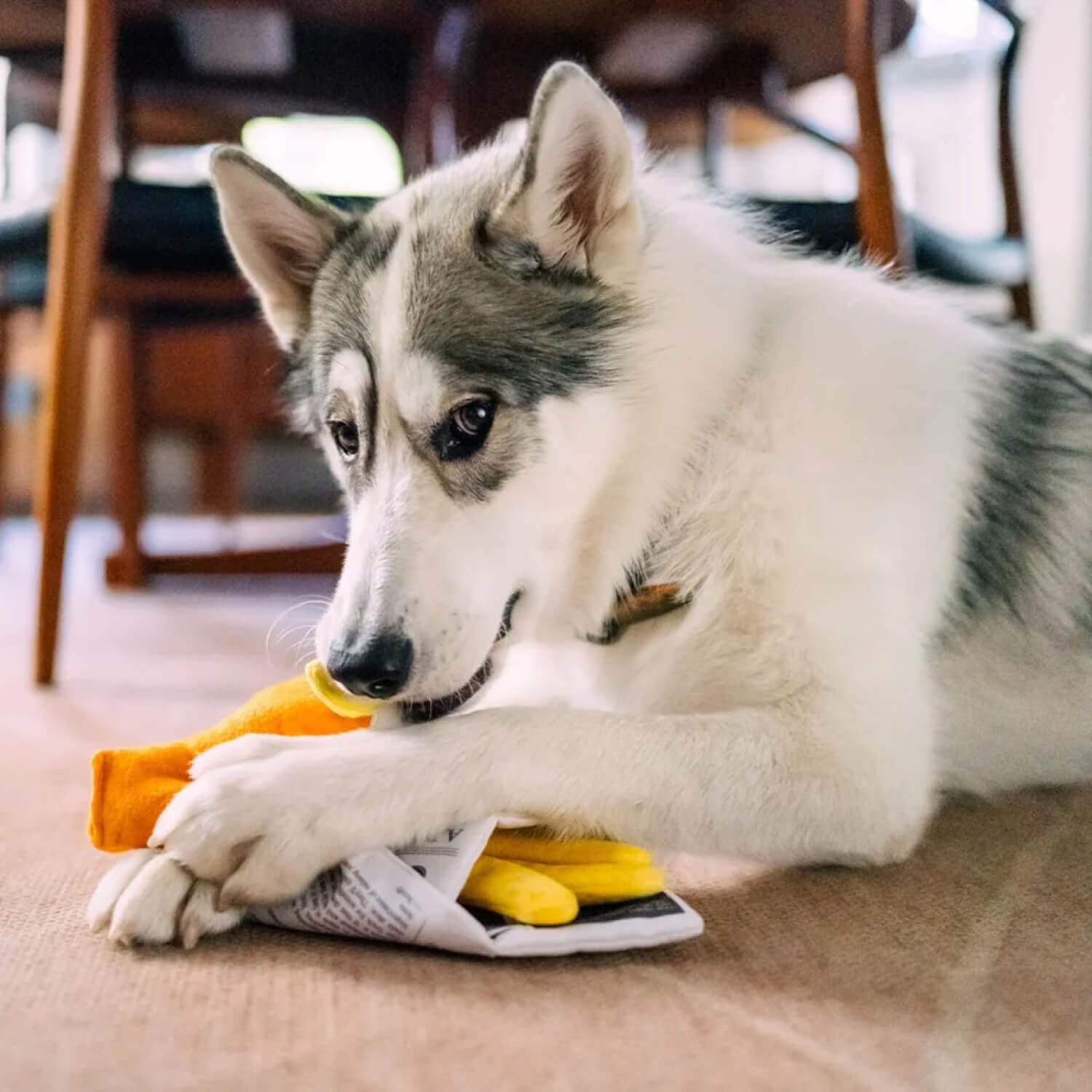 PLAY International Classic Fish & Chips Toy