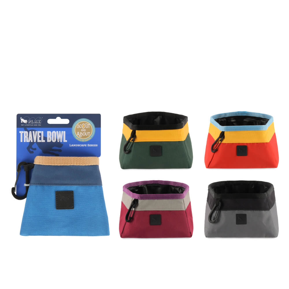 Scout & About Foldable Travel Bowl, 2.3 Litres