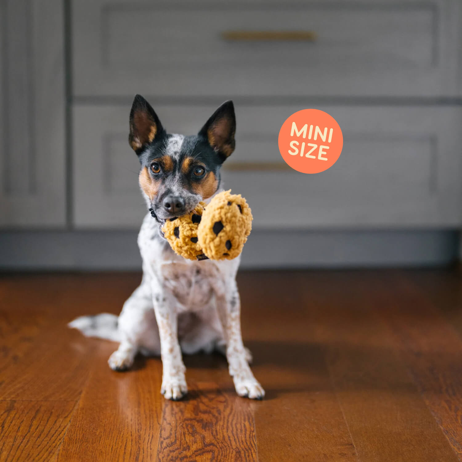 PLAY Pup Cup Cafe Cookies Toy