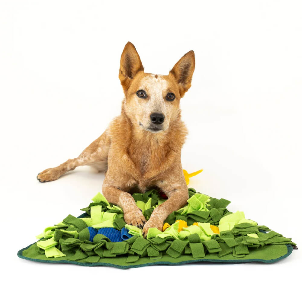 PLAY Snuffle Mat | Holiday