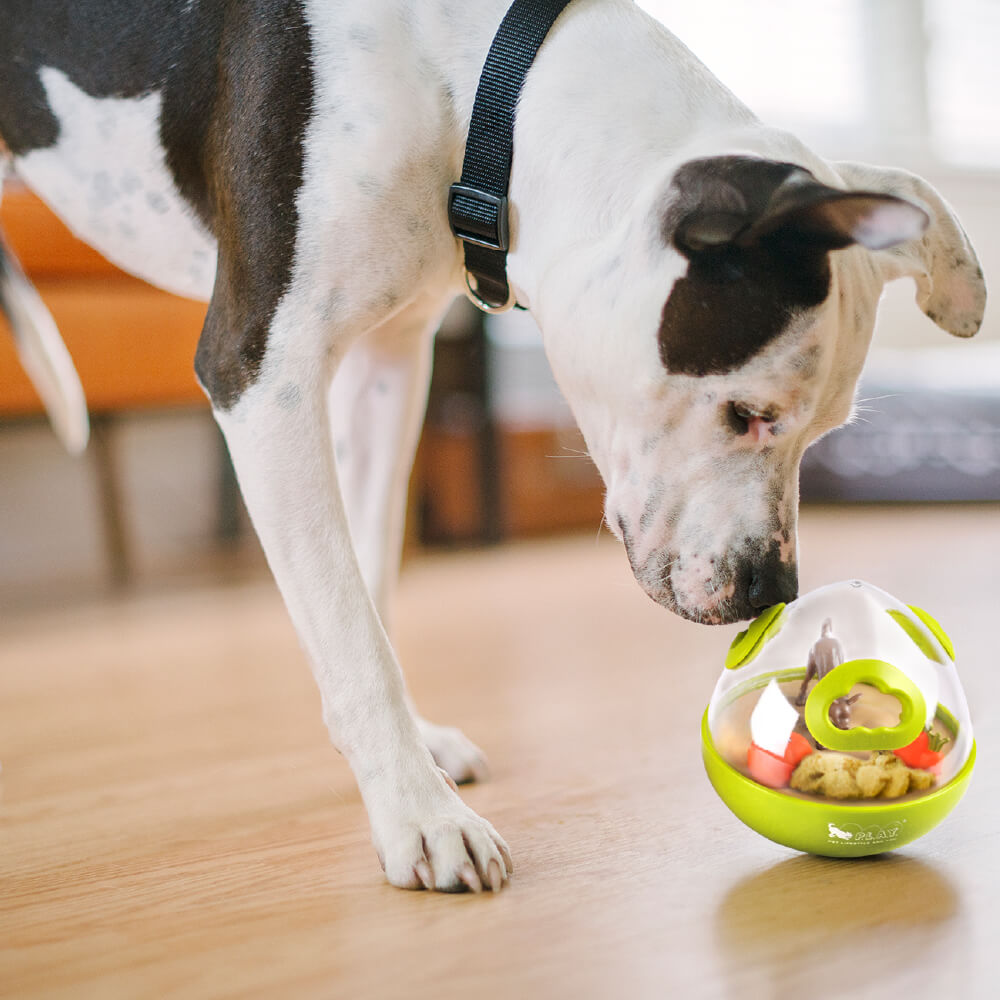 P.L.A.Y Treat Dispensing Wobble Ball 2.0