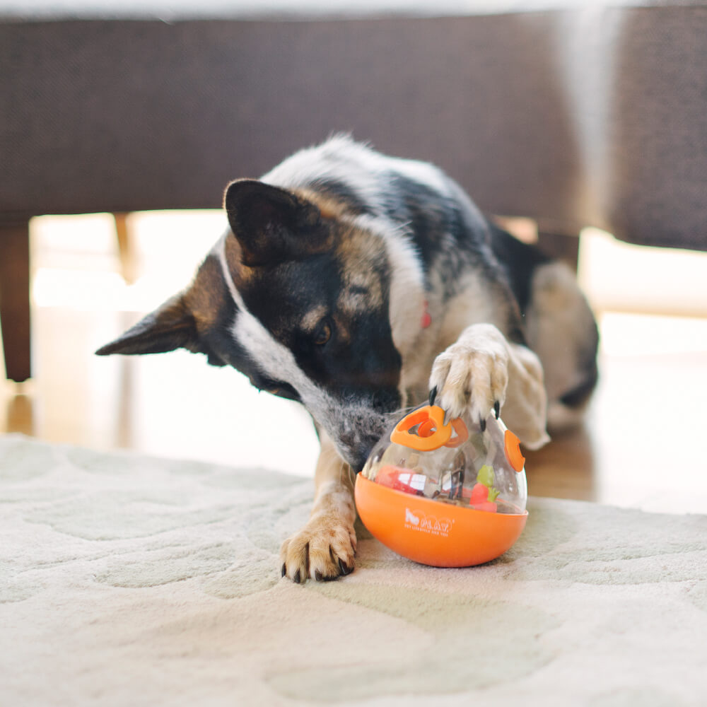 P.L.A.Y Treat Dispensing Wobble Ball 2.0