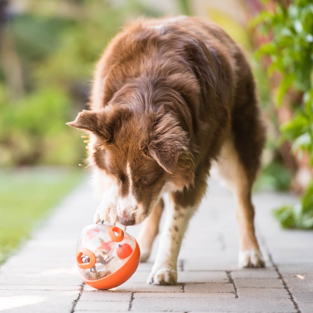 P.L.A.Y Treat Dispensing Wobble Ball 2.0