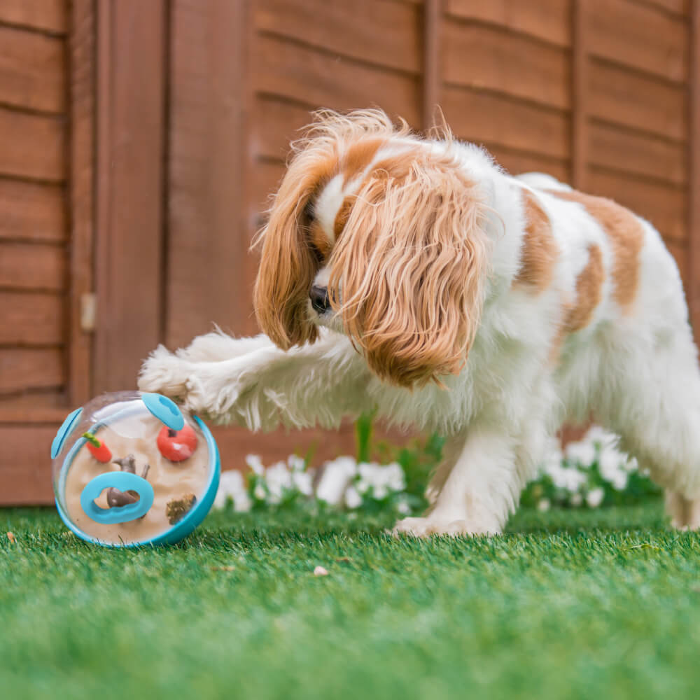 P.L.A.Y Treat Dispensing Wobble Ball 2.0