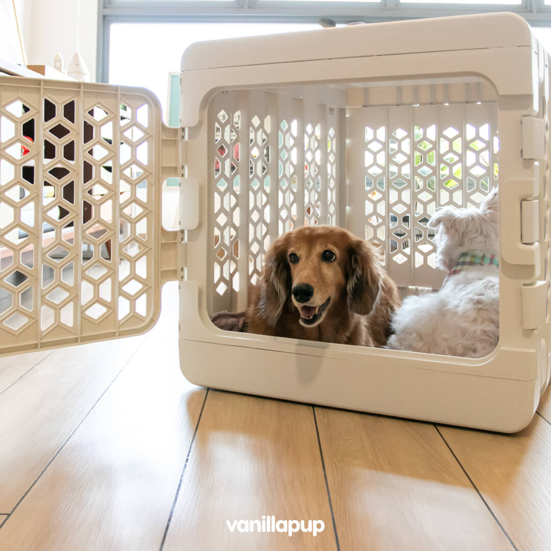 PAWD® Collapsible Plastic Pet Crate