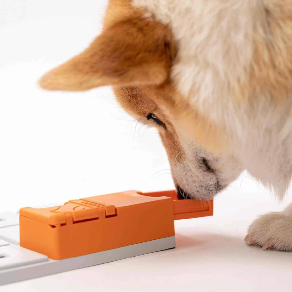 Pawzler Modular Dog Puzzle | Maya