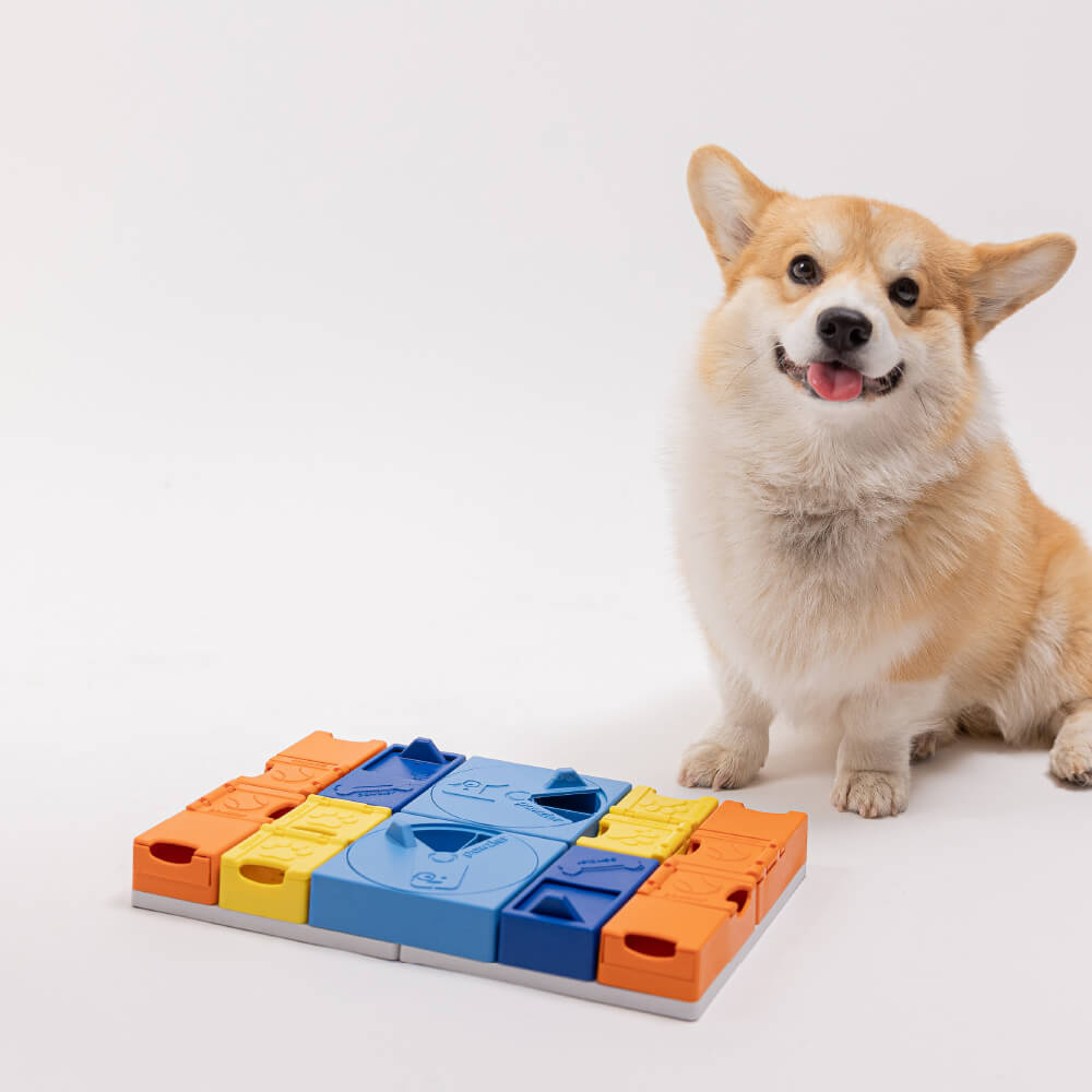 Pawzler Modular Dog Puzzle | Rainbow Set (Mega)