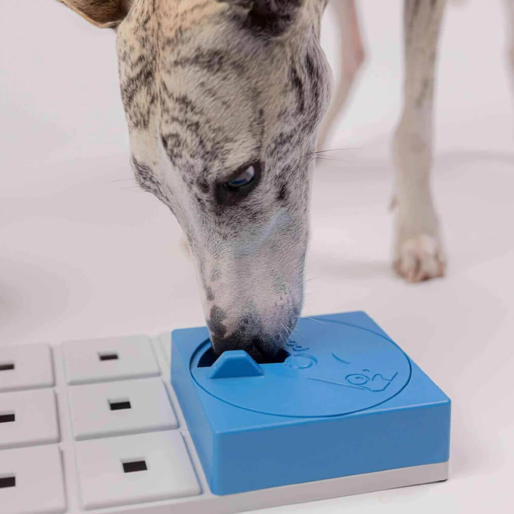 Pawzler Modular Dog Puzzle | Oli