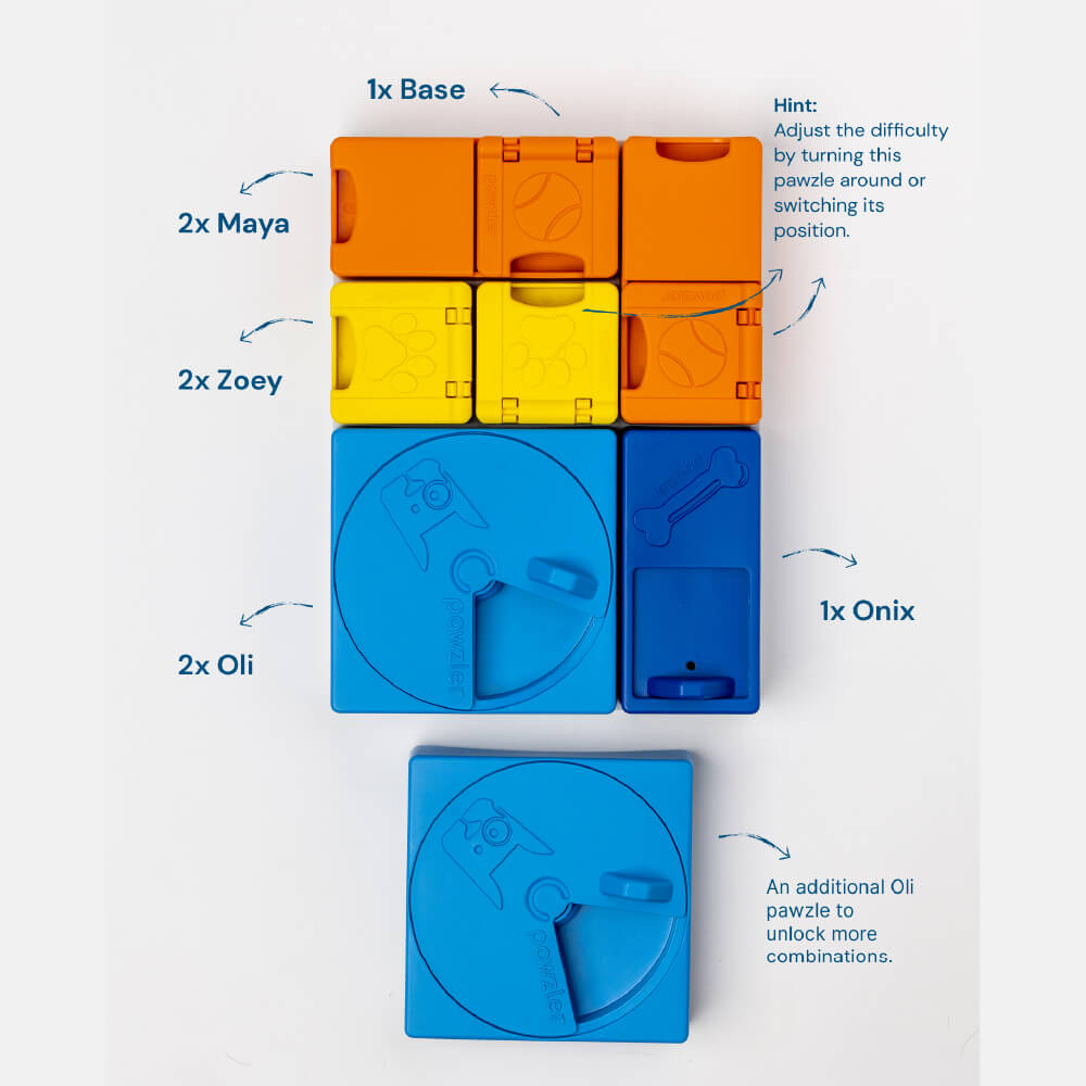 Pawzler Modular Dog Puzzle | Rainbow Set (Mini)
