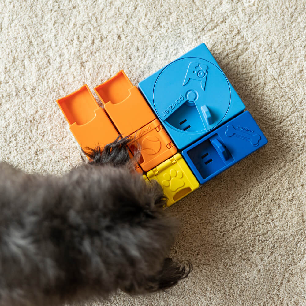 Pawzler Modular Dog Puzzle | Rainbow Set (Mini)