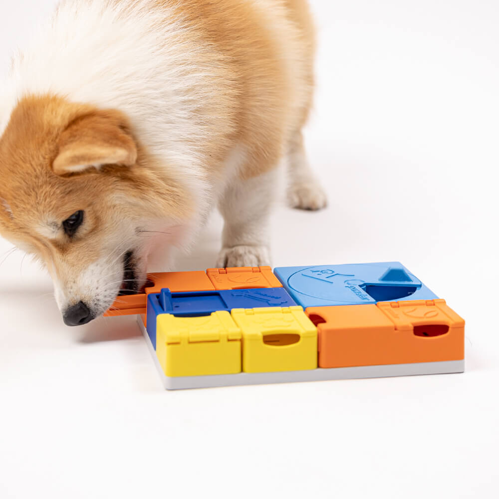 Pawzler Modular Dog Puzzle | Rainbow Set (Mini)