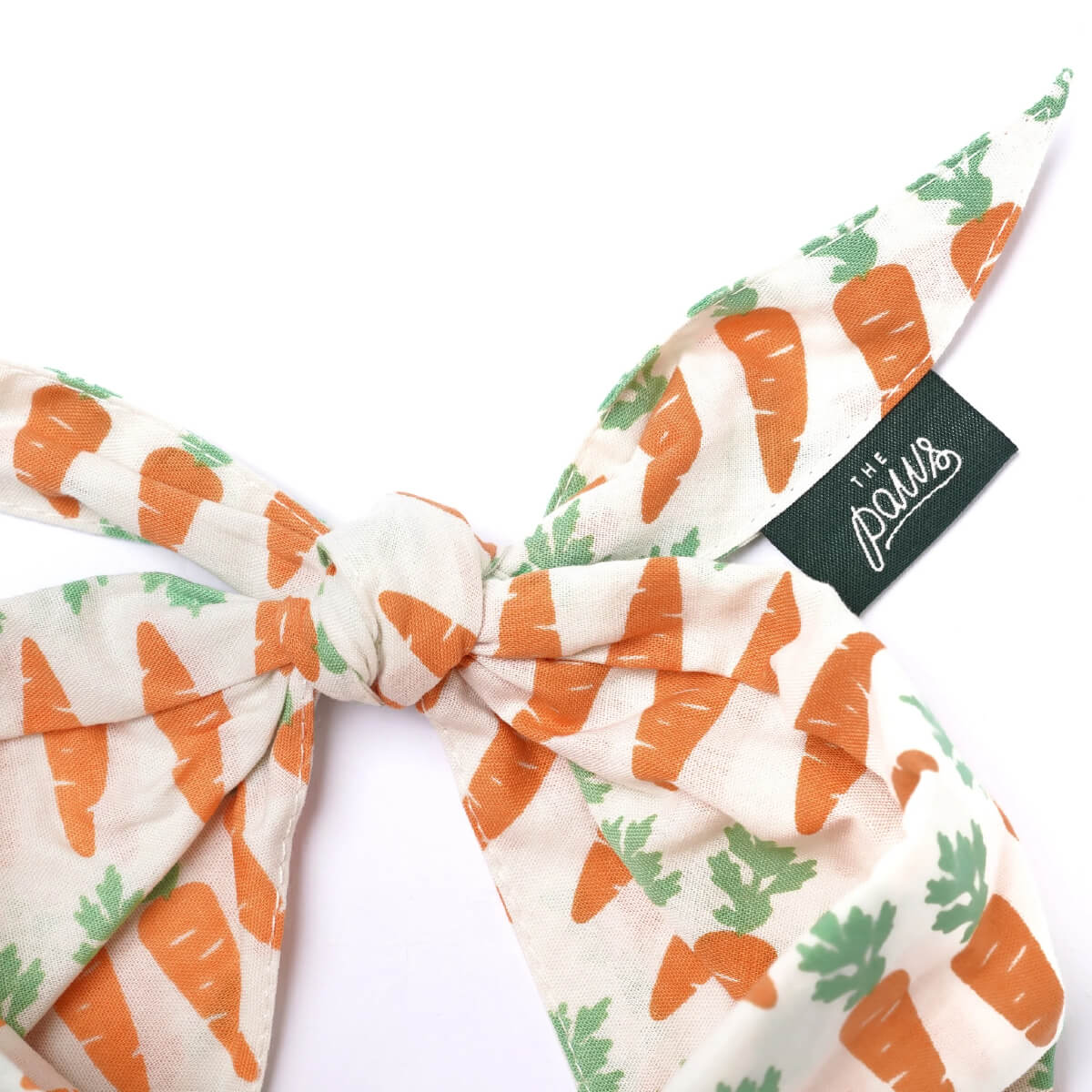 The Paws Bandana | Crunch