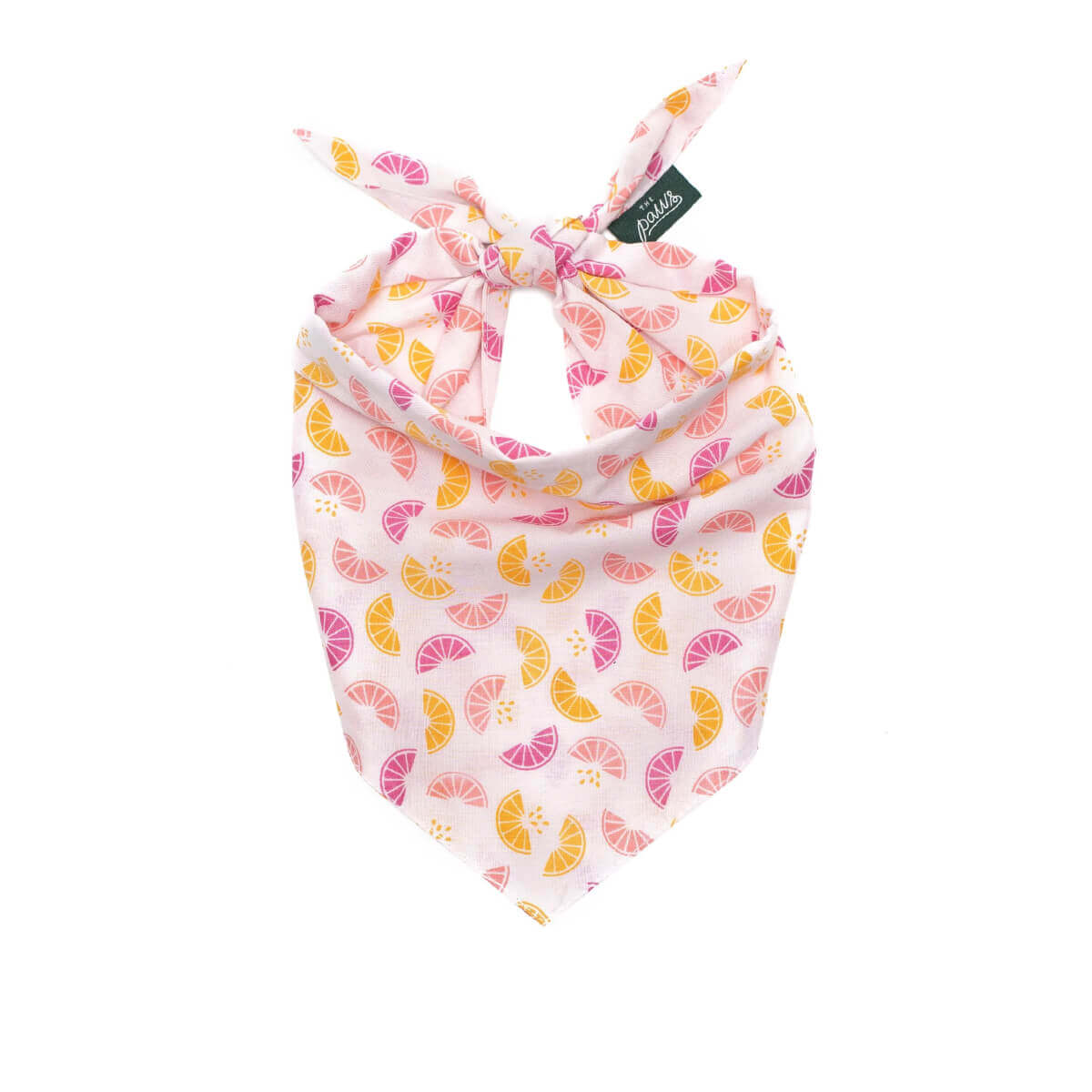 The Paws Bandana | Squeezed