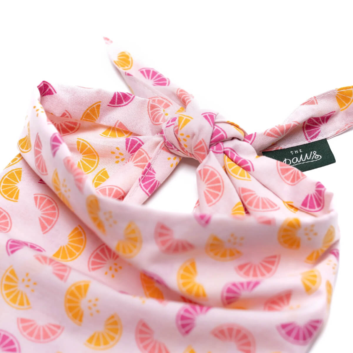 The Paws Bandana | Squeezed