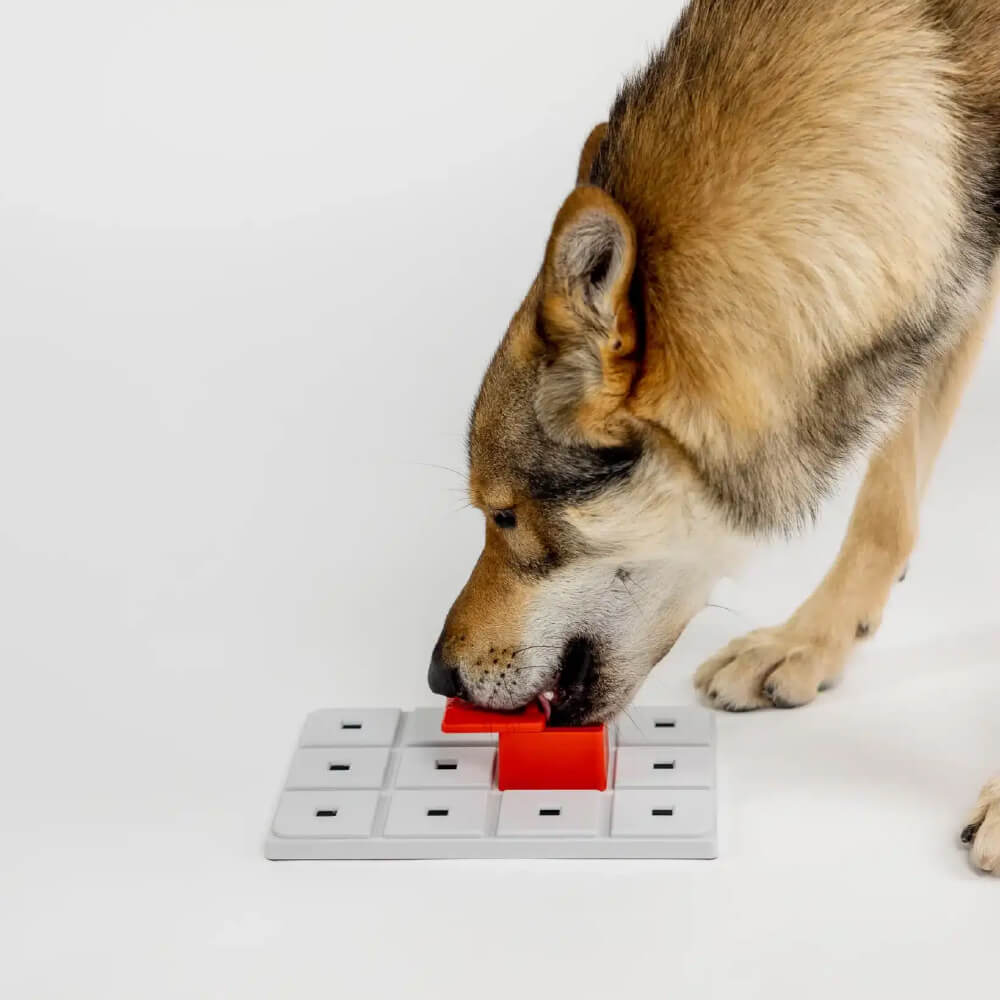 Pawzler Modular Dog Puzzle | Peach (Set of 2)