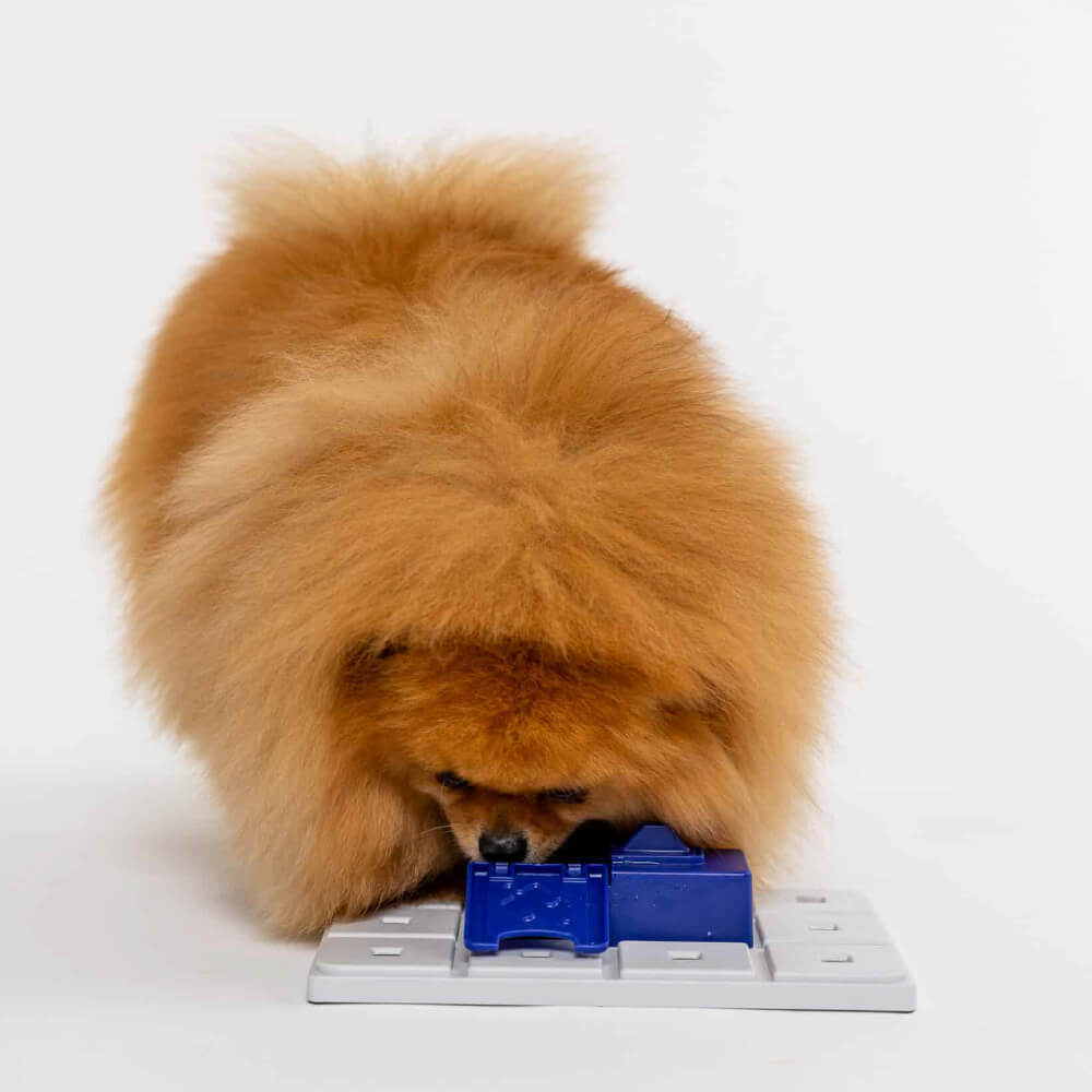 Pawzler Modular Dog Puzzle | Sela