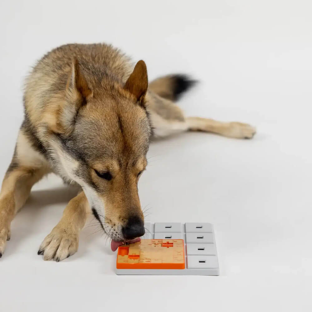 Pawzler Modular Dog Puzzle | Terra
