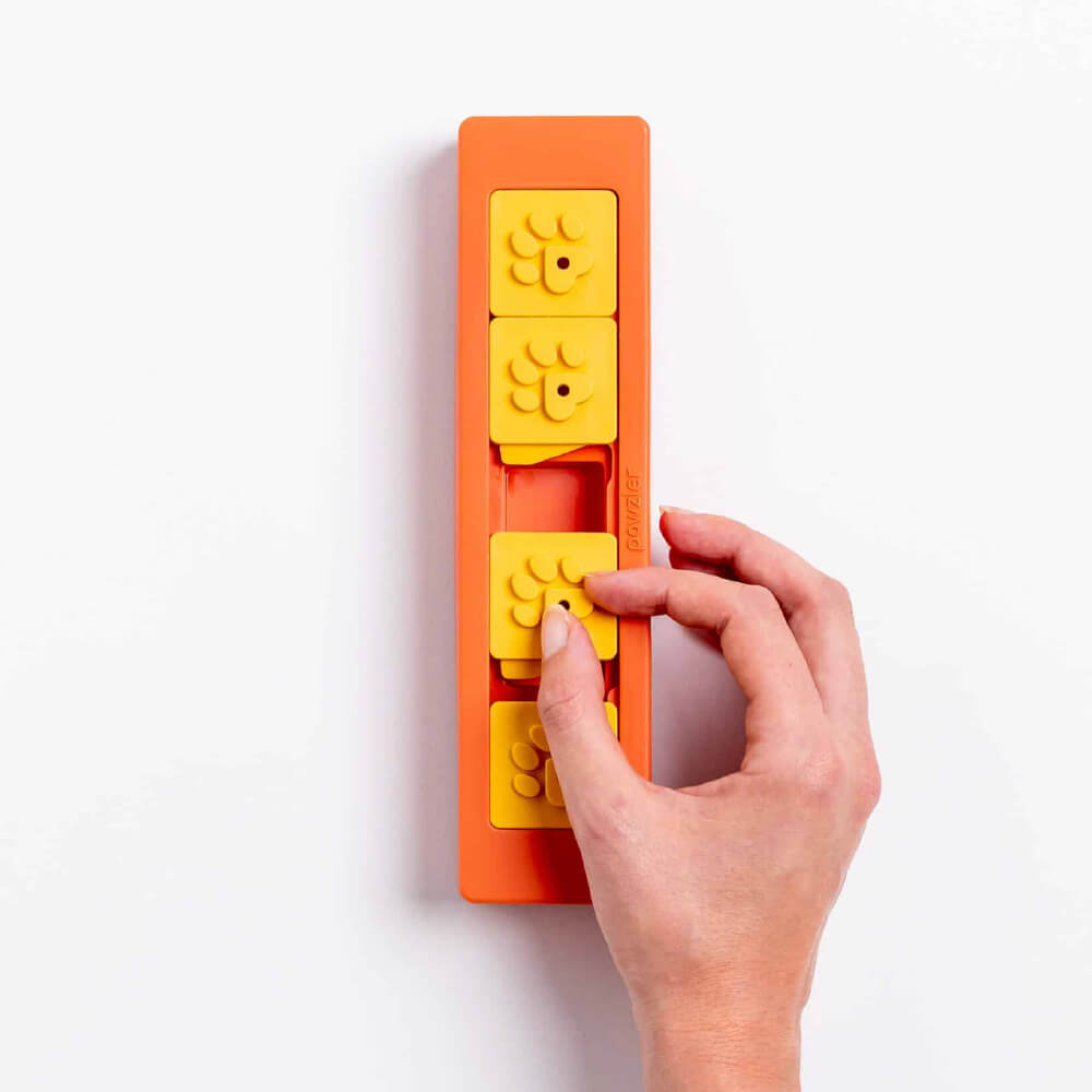 Pawzler Modular Dog Puzzle | Zhu