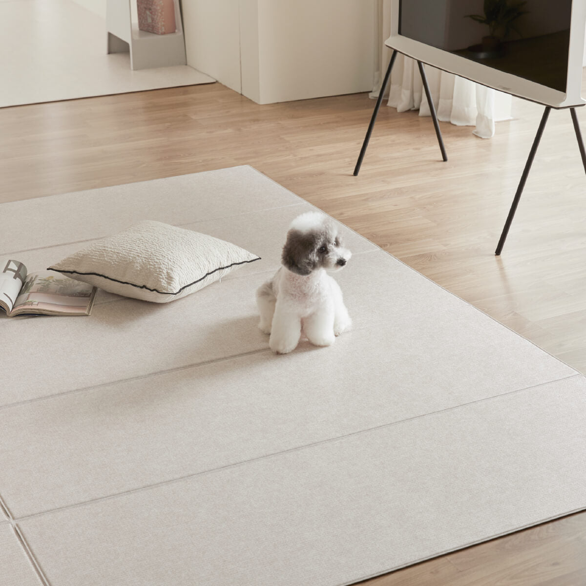 Pupping Pet Mat Folding Type | Modern Design