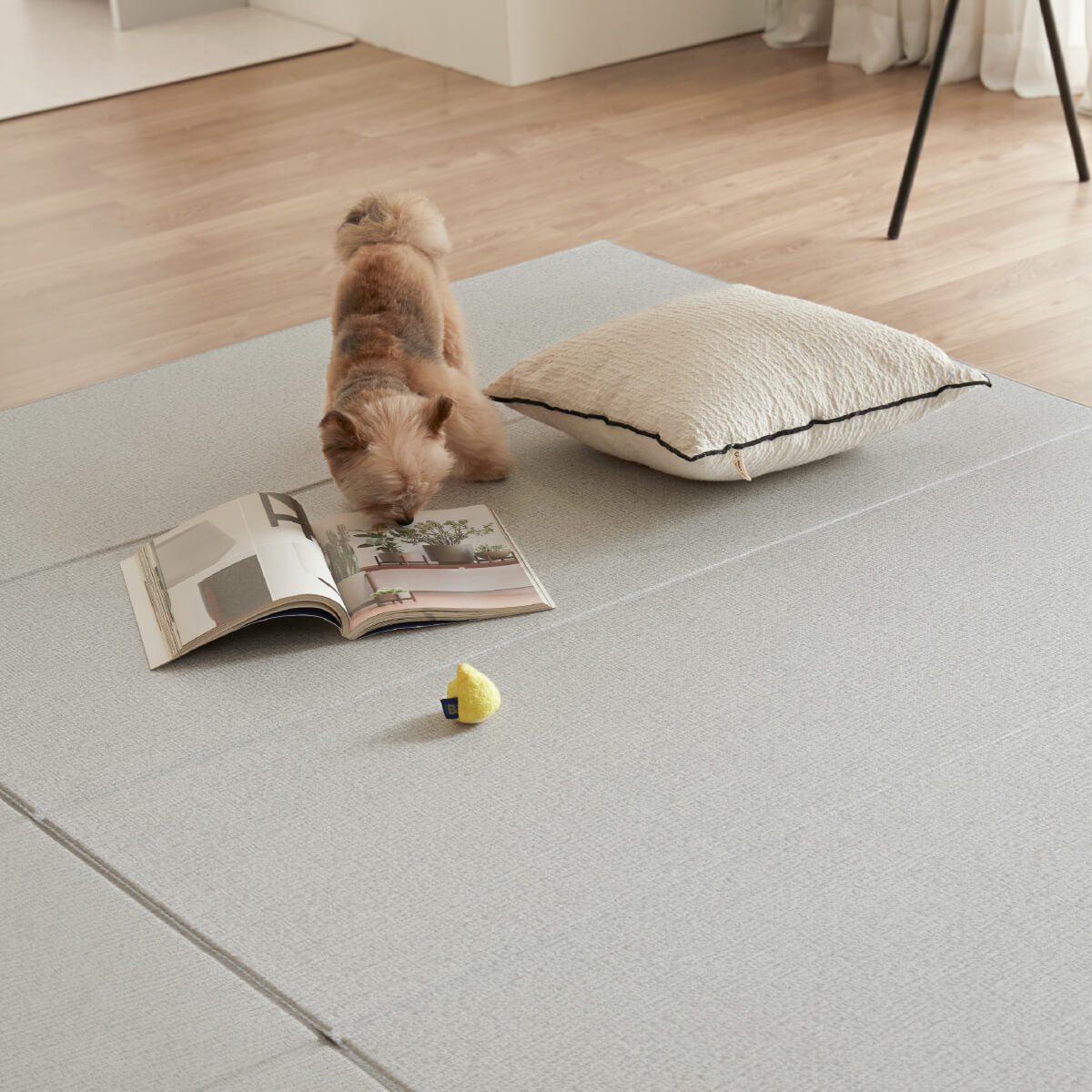 Pupping Pet Mat Folding Type | Modern Design