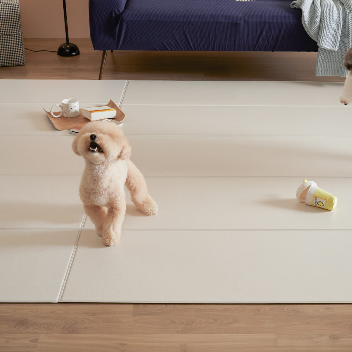 Pupping Pet Mat Folding Type | Modern Design