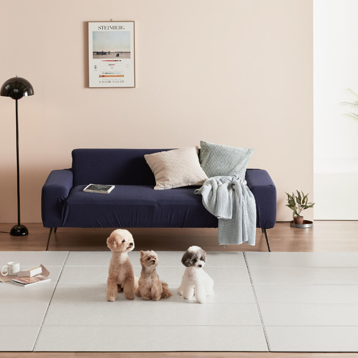 Pupping Pet Mat Folding Type | Modern Design