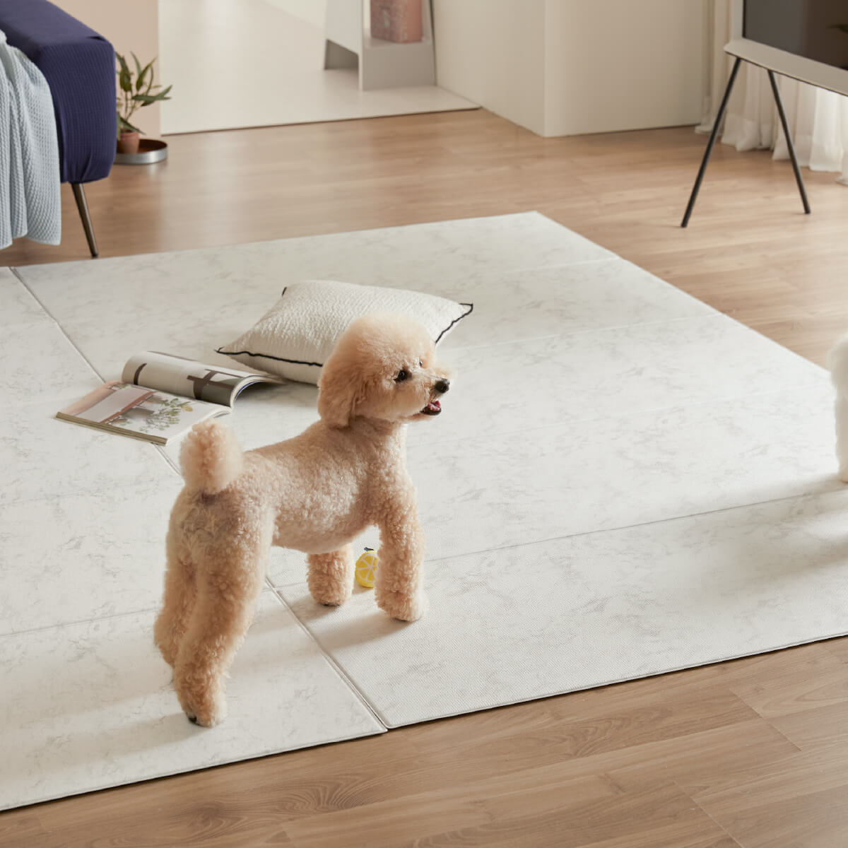 Pupping Pet Mat Folding Type | Modern Design
